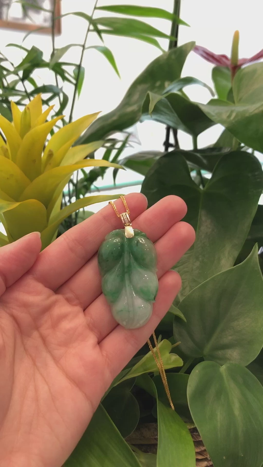 Jade Leaf