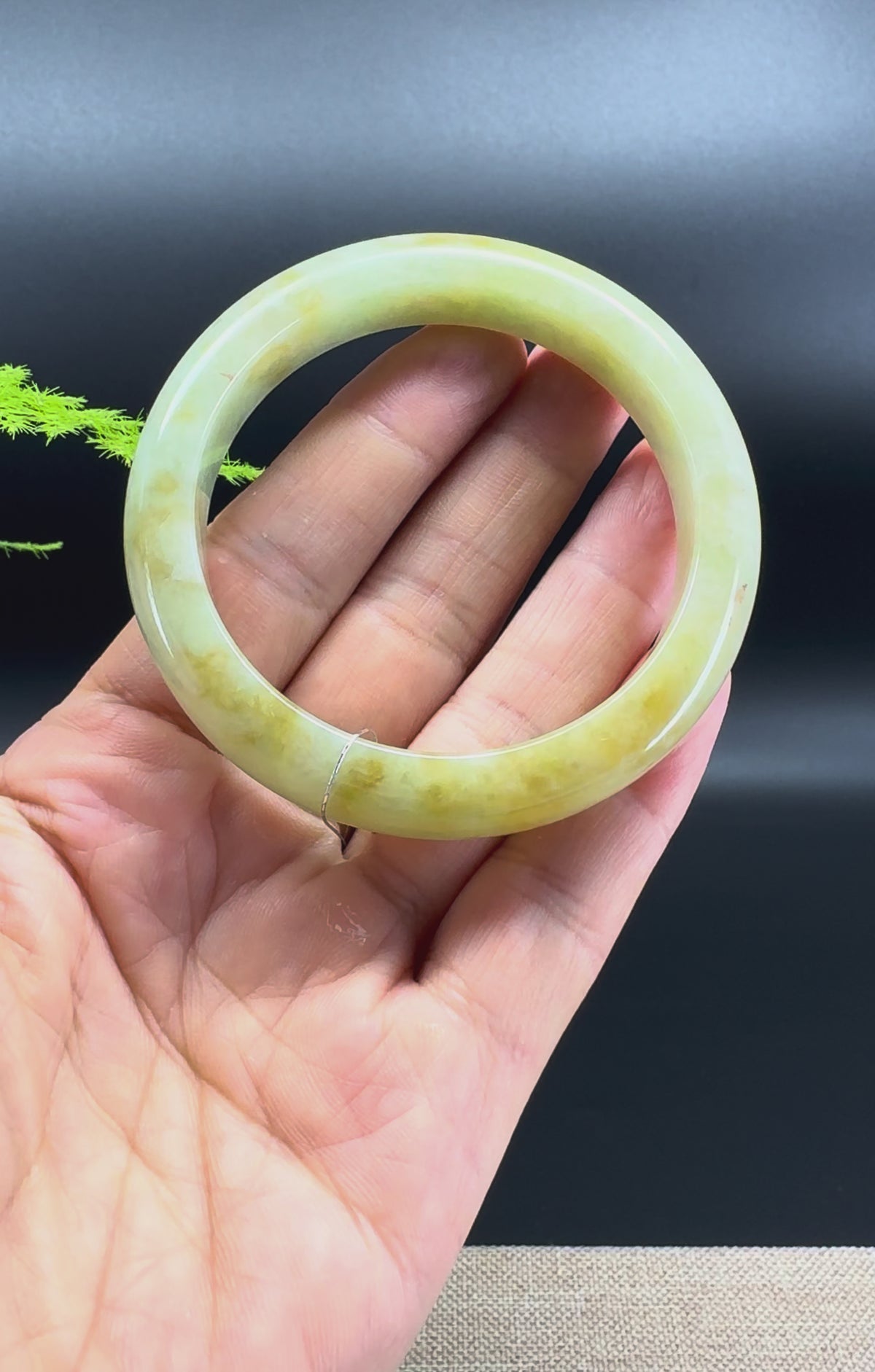 Genuine Burmese Yellow Jadeite Jade Bangle Bracelet ( 53.3mm )