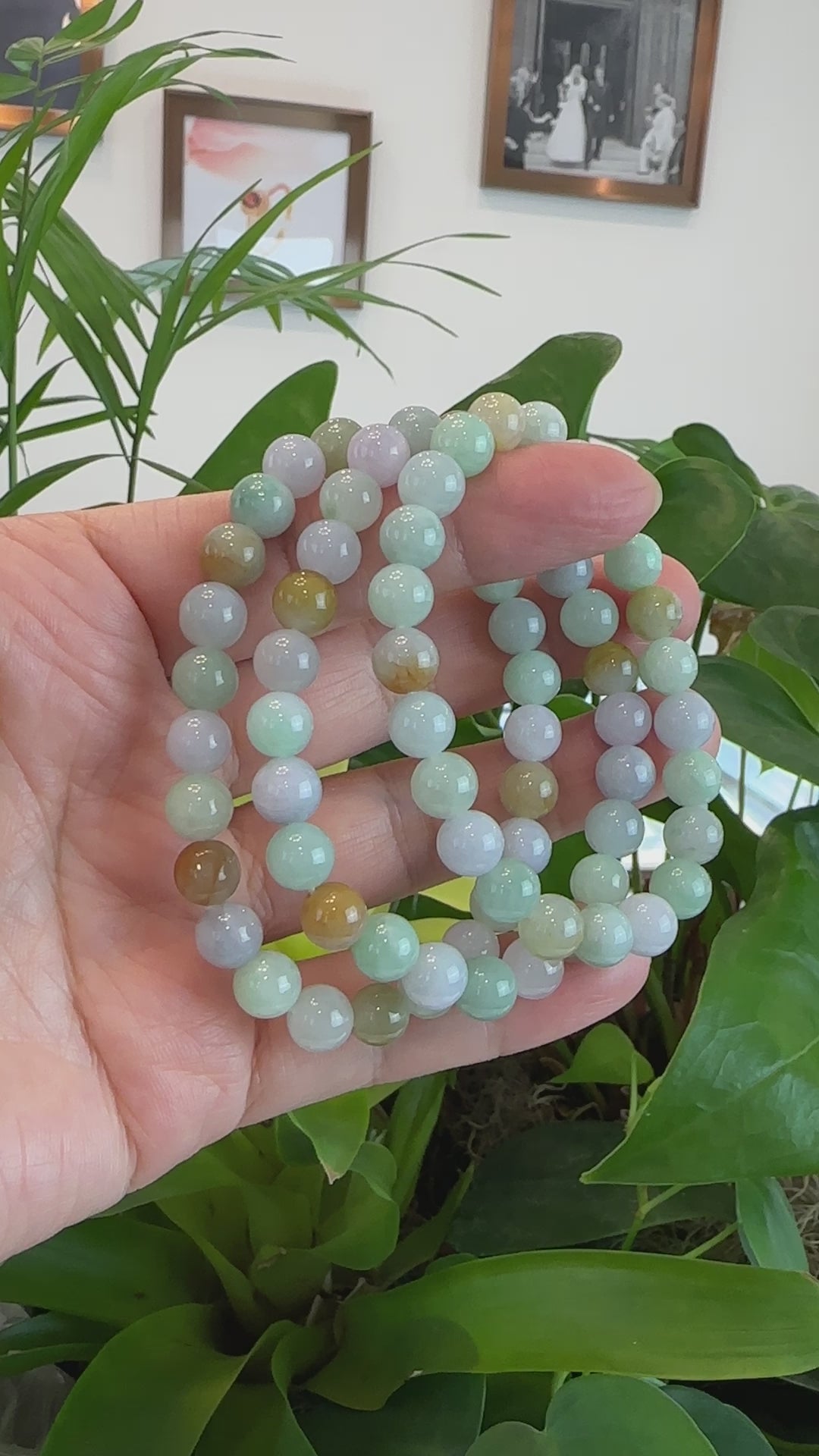 Load and play video in Gallery viewer, Genuine Jadeite Jade Round Multiple Colors Beads Bracelet (8.5 mm)
