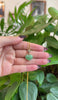RealJade® Co. RealJade® Co. 14K Yellow Gold Genuine Burmese Green Jadeite Jade Heart Pendant with VS1 Diamonds
