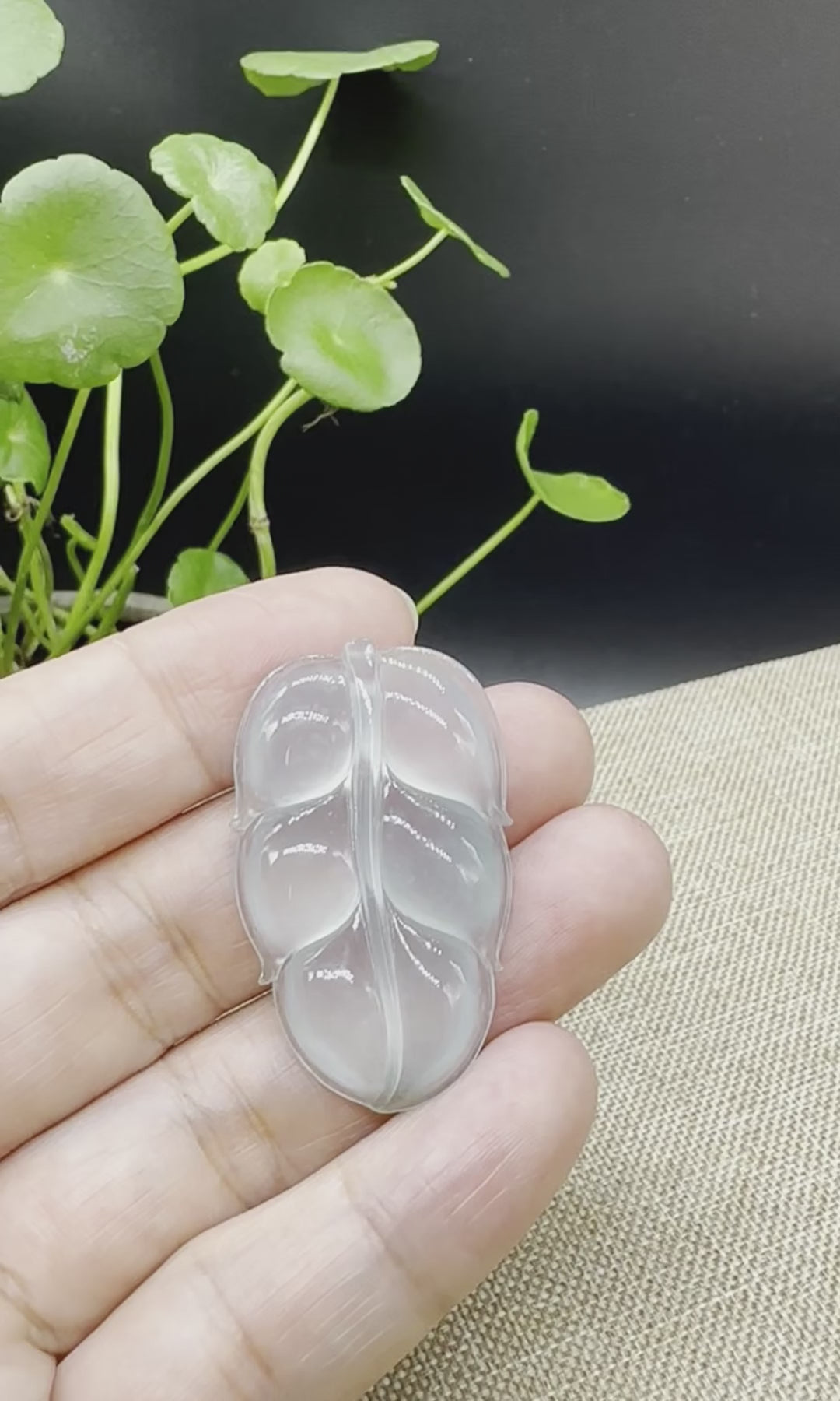 Load and play video in Gallery viewer, High end Genuine Ice Jadeite Jade Jin Zhi Yu Ye (Leaf) Necklace With
