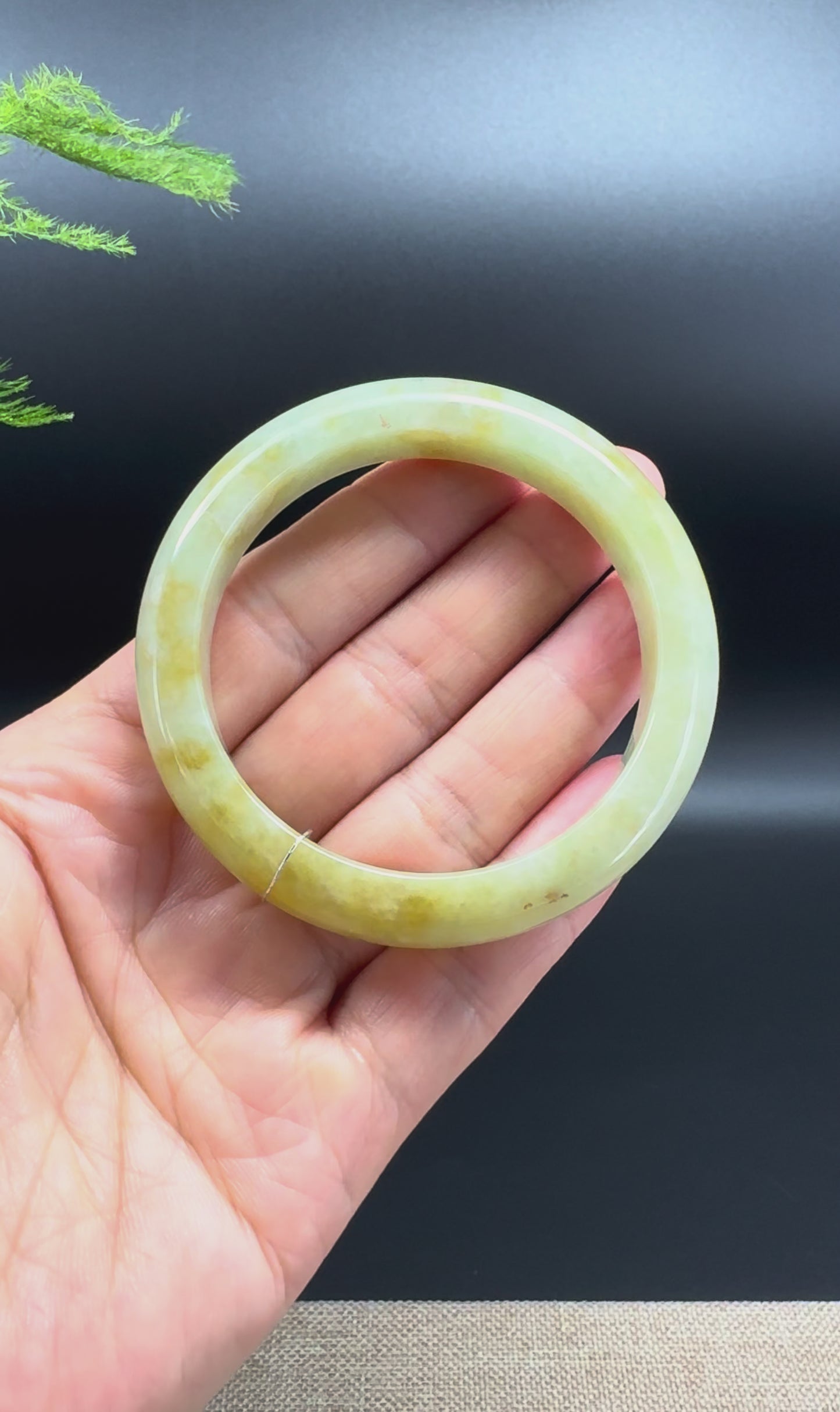Genuine Burmese Yellow Jade Jadeite Bangle Bracelet ( 53.3mm )