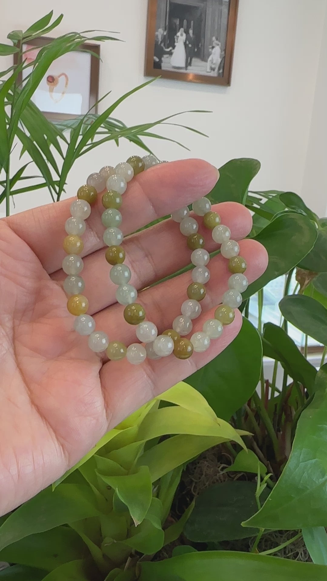 Load and play video in Gallery viewer, RealJade® Co. Genuine Jadeite Jade Round Ice Multiple Colors Beads Bracelet (7 mm)
