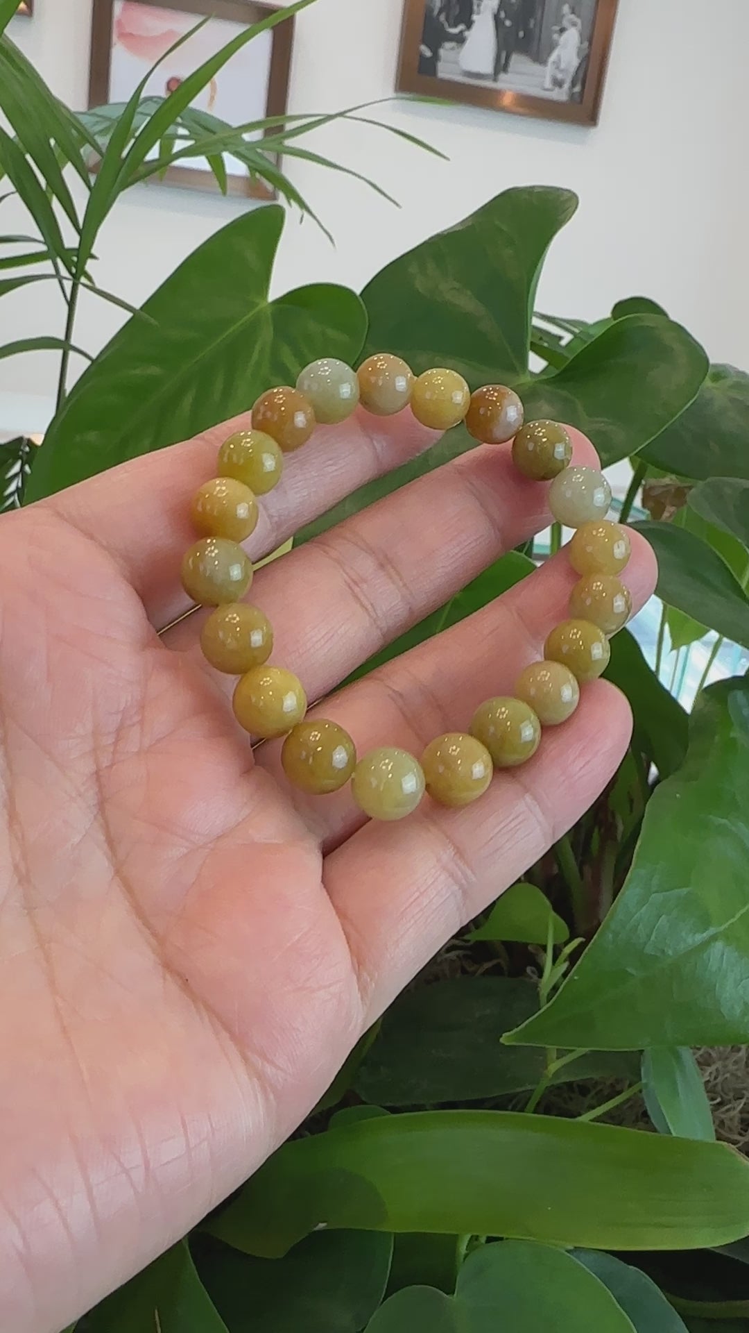 Load and play video in Gallery viewer, RealJade® Natural Yellow Burmese Jadeite Jade Round Beads Bracelet (9.5mm)
