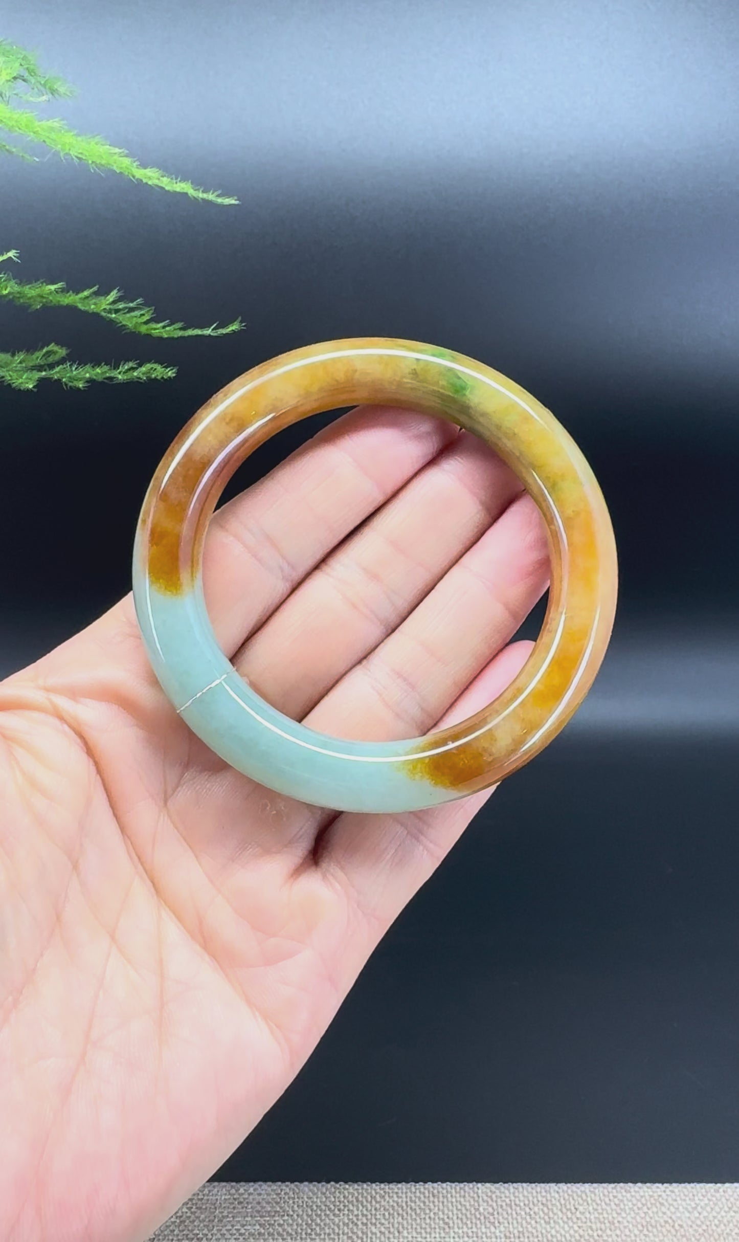 Genuine Burmese FuLuShou Jade Jadeite Bangle Bracelet ( 54.5mm )