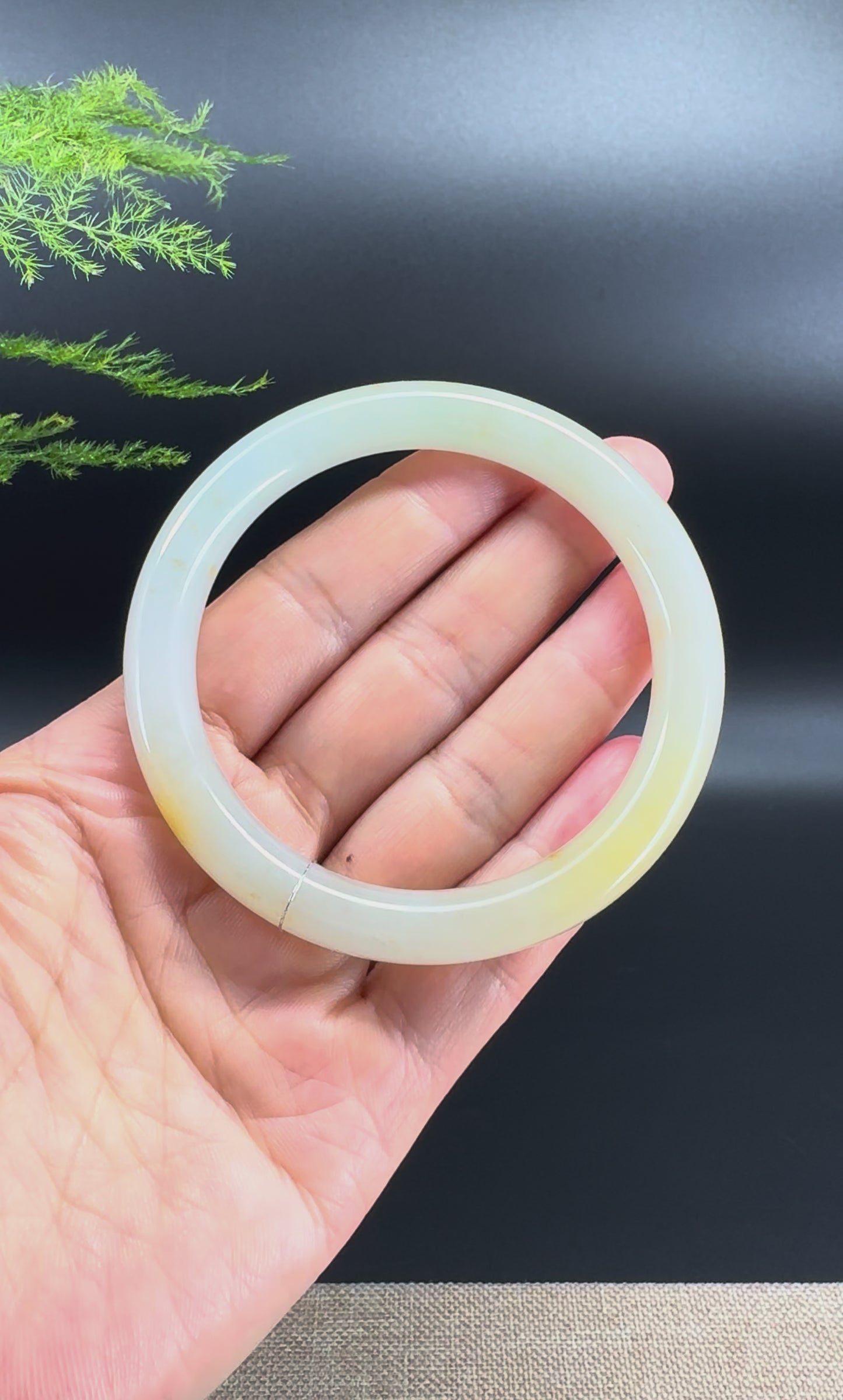 High end Burmese Icy Yellow Jade Jadeite Bangle Bracelet ( 59.2mm )