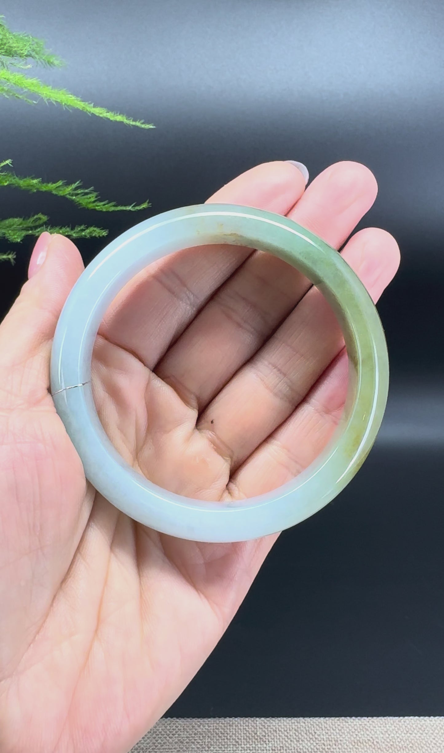 Genuine Burmese Yellow Green Jade Jadeite Bangle Bracelet ( 58.6mm )
