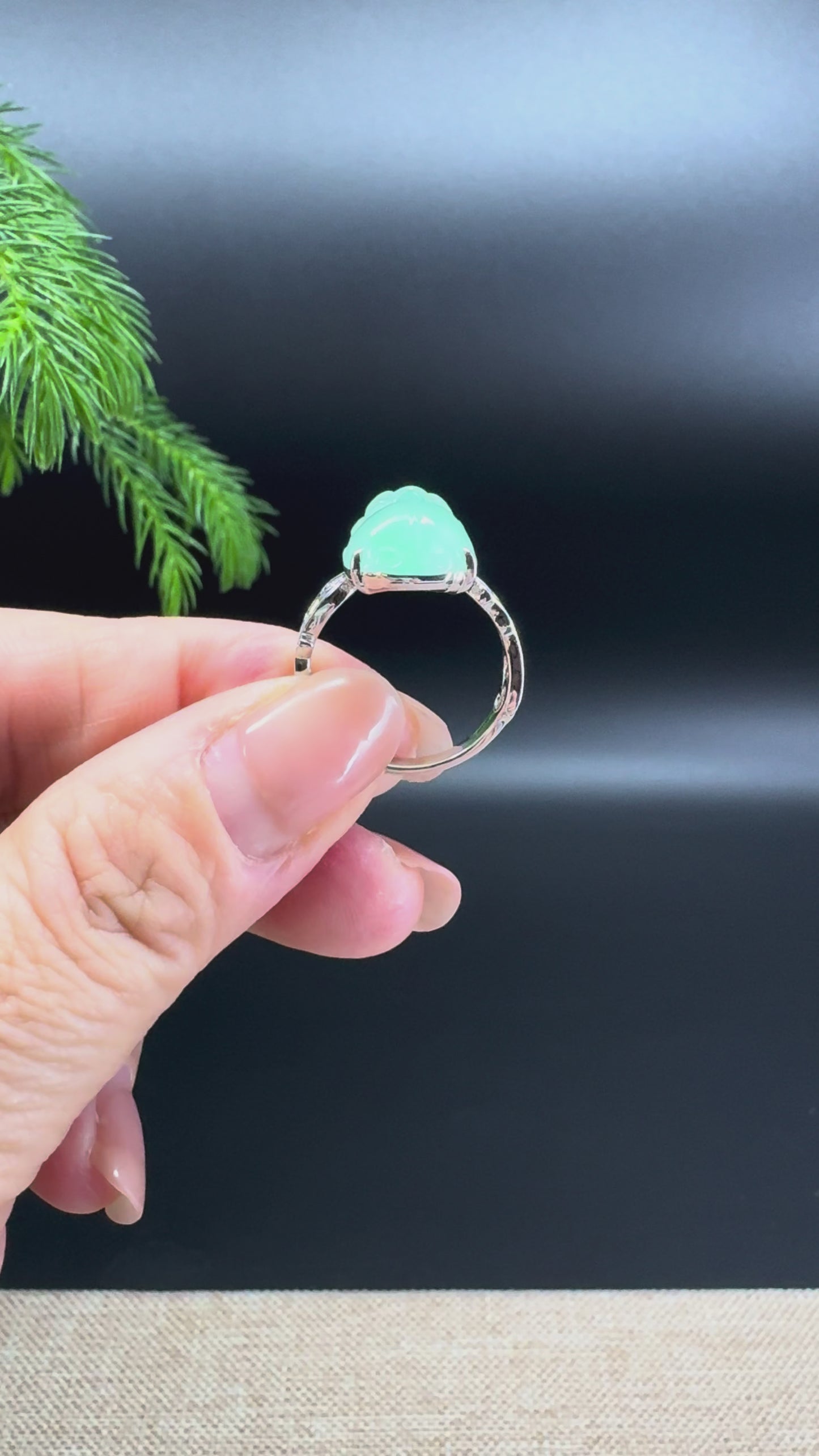 Load and play video in Gallery viewer, RealJade® 18K White Gold Light Green Jadeite Jade PiXiu Ring
