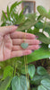 RealJade® Co. RealJade® Co. 14K Yellow Gold Genuine Burmese Green Jadeite Jade Heart Pendant