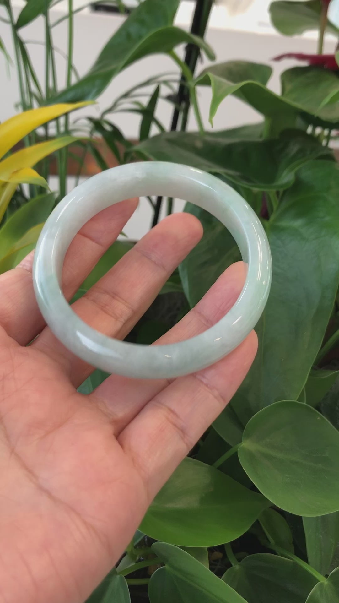 Load and play video in Gallery viewer, RealJade® Co. &amp;quot;Classic Bangle&amp;quot; Natural Burmese Jadeite Jade Bangle ( 63.4 mm ) #589
