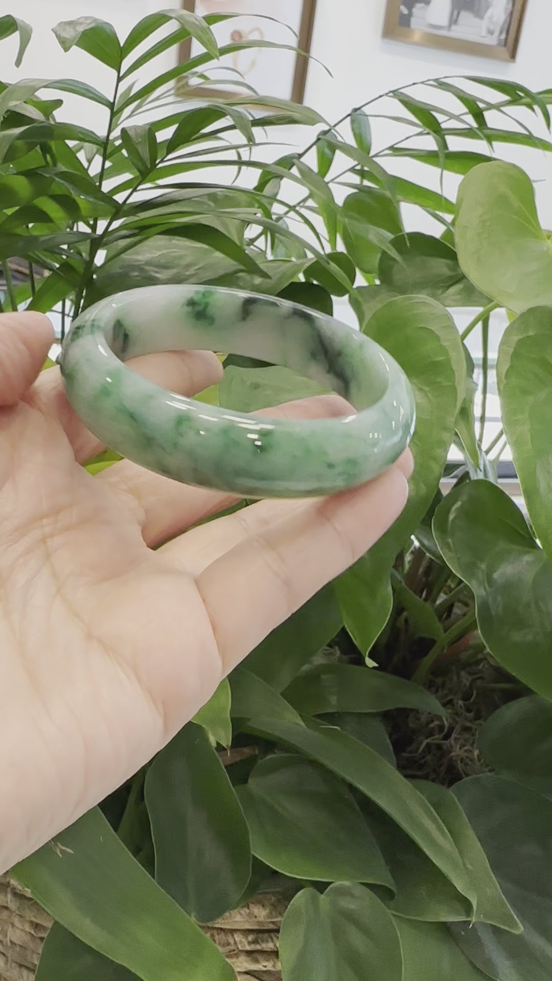 Load and play video in Gallery viewer, RealJade® Co. Green Classic Real Jadeite Jade Bangle Bracelet (63.61mm) #389
