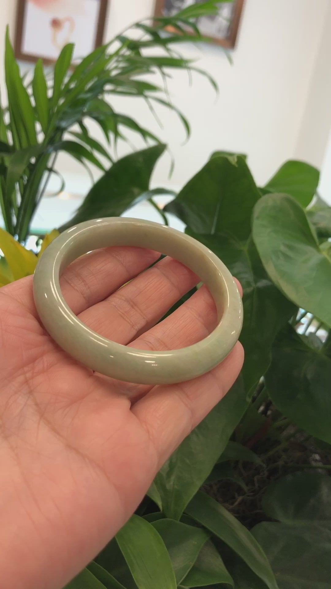 Load and play video in Gallery viewer, RealJade¨ Co.  &amp;quot;Classic Bangle&amp;quot; Yellow Green Natural Burmese Jadeite Jade Bangle (57.44 mm) #760
