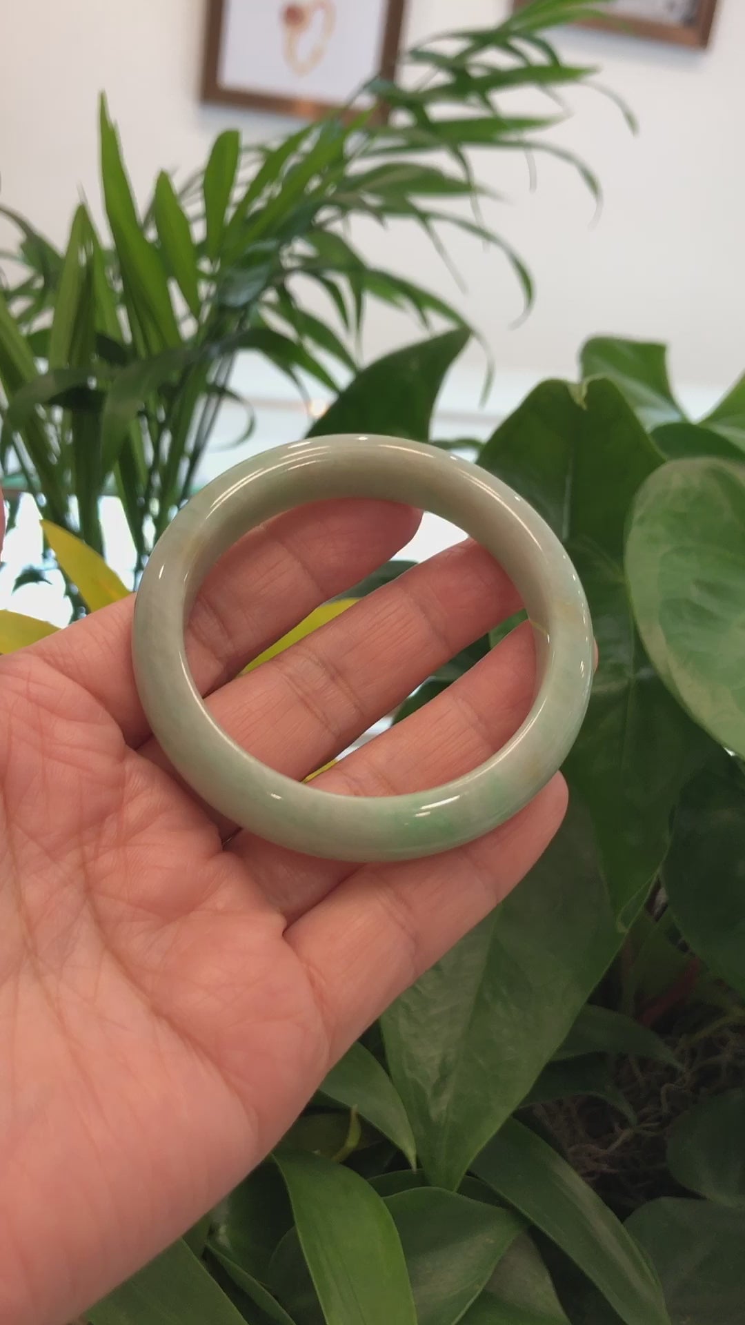 Load and play video in Gallery viewer, RealJade® Co.  &amp;quot;Classic Bangle&amp;quot; Yellow Green Natural Burmese Jadeite Jade Bangle (57.40mm) #822
