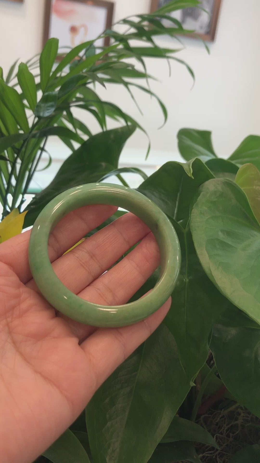 Load and play video in Gallery viewer, Genuine High-quality Burmese Yellowish Green Jadeite Jade Bangle (56.51mm) #893
