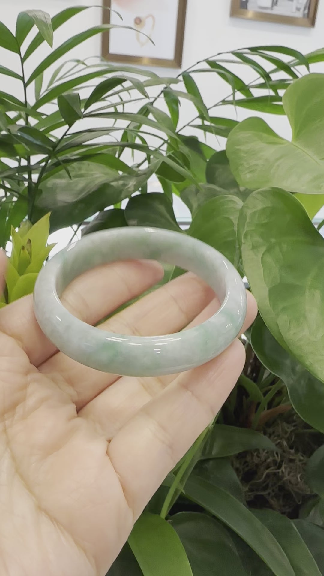 Load and play video in Gallery viewer, Genuine Burmese Forest Green Jadeite Jade Bangle Bracelet (54.21 mm) #977
