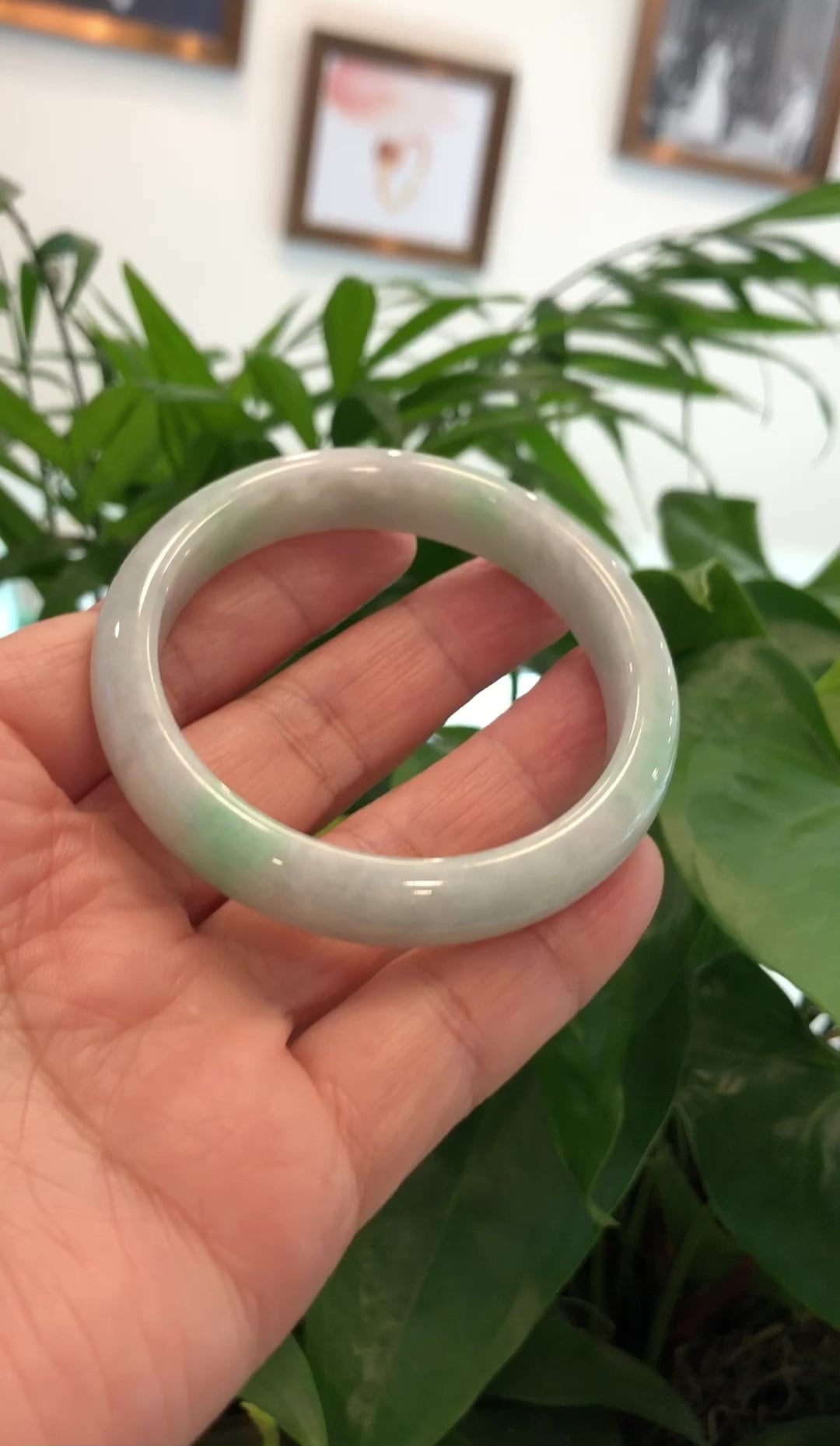 Load and play video in Gallery viewer, RealJade® Co. &amp;quot;Classic Bangle&amp;quot; Genuine Burmese Green Jadeite Jade Bangle Bracelet (56.83mm)#851
