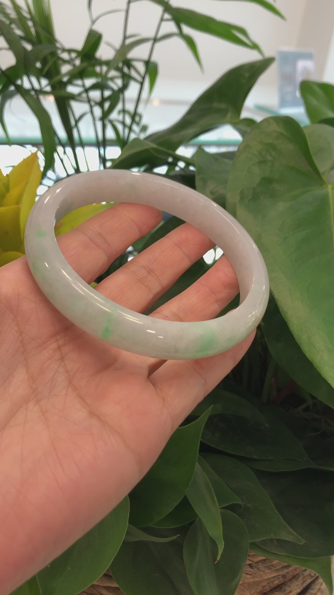 Load and play video in Gallery viewer, &amp;quot;Classic Bangle&amp;quot; Burmese White &amp;amp; Green Jadeite Jade Men&amp;#39;s Bangle Bracelet (75.73 mm) #712
