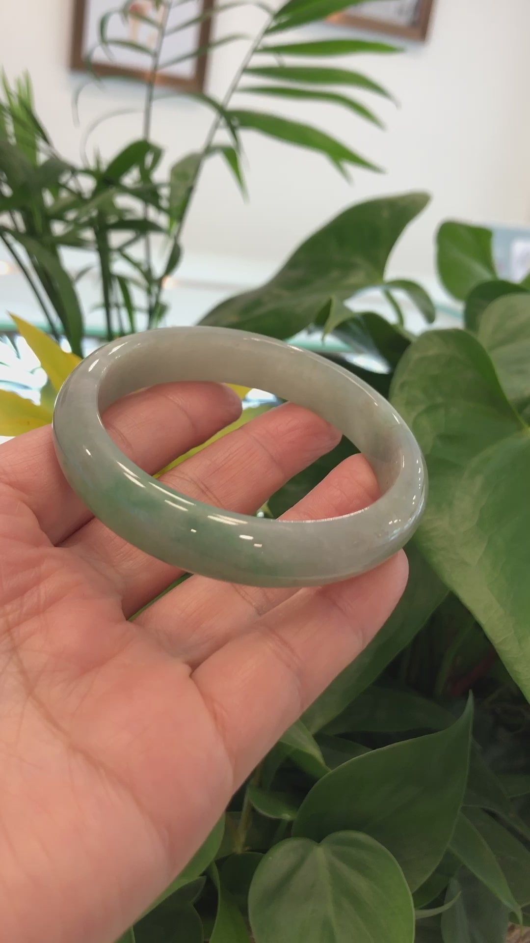 Load and play video in Gallery viewer, Classic Forest Green Natural Burmese Jadeite Jade Bangle (62.34 mm) #753
