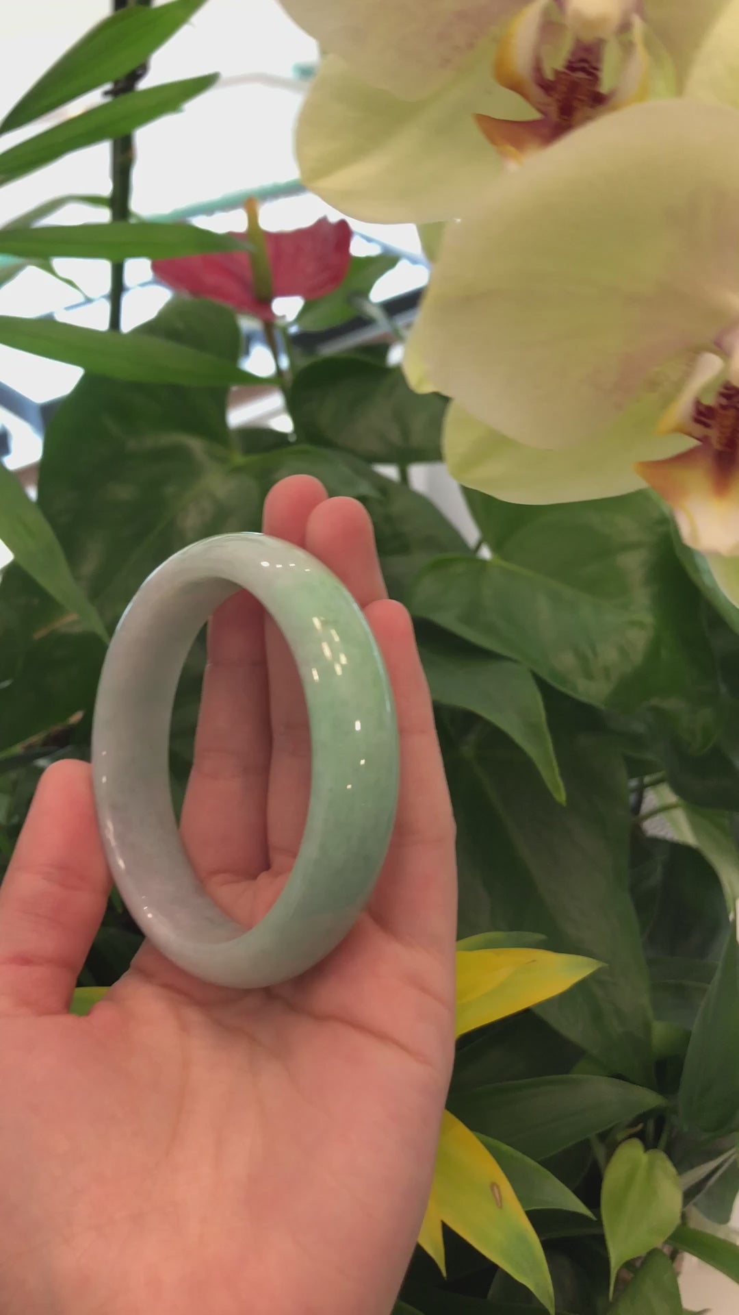 Load and play video in Gallery viewer, High-quality Lavender-Green Natural Burmese Jadeite Jade Bangle (59.68 mm ) #296
