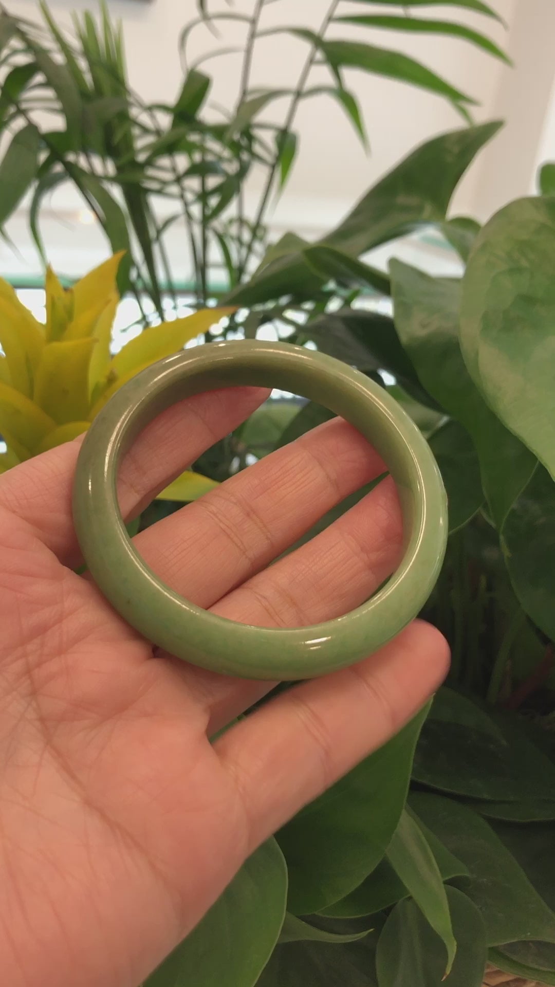 Load and play video in Gallery viewer, &amp;quot;Classic Princess Half Round&amp;quot; Burmese Yellow Green Jadeite Jade Bangle (58.11 mm) #669
