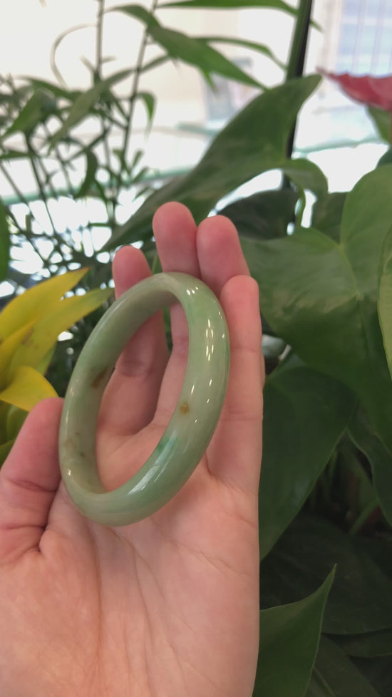 Load and play video in Gallery viewer, RealJade® Co. Genuine Burmese Yellowish Green Jadeite Jade Oval Bangle (56.29 mm) #341
