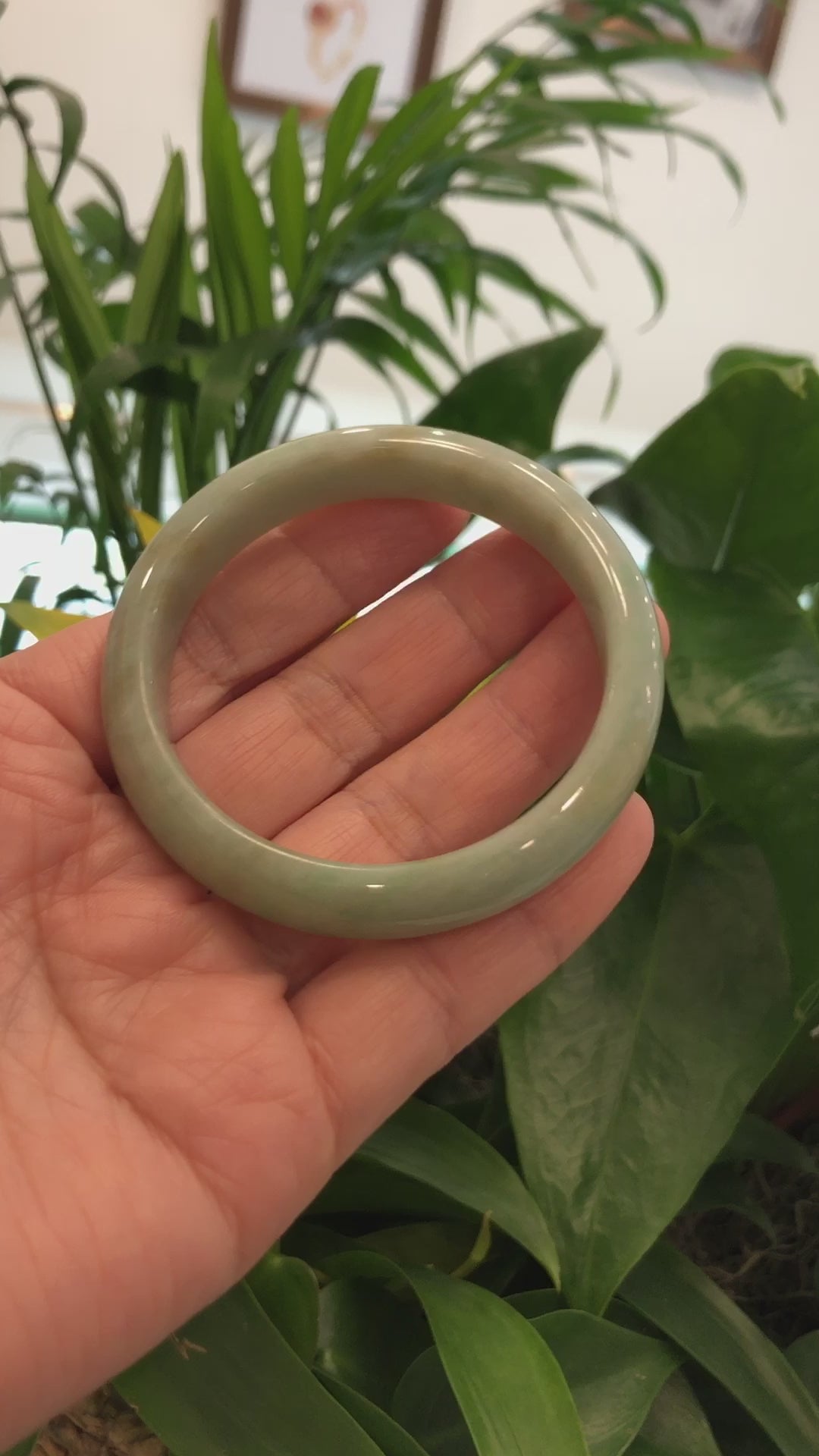 Load and play video in Gallery viewer, RealJade® Co.  &amp;quot;Classic Bangle&amp;quot; Yellow Green Natural Burmese Jadeite Jade Bangle (57.64mm )#755
