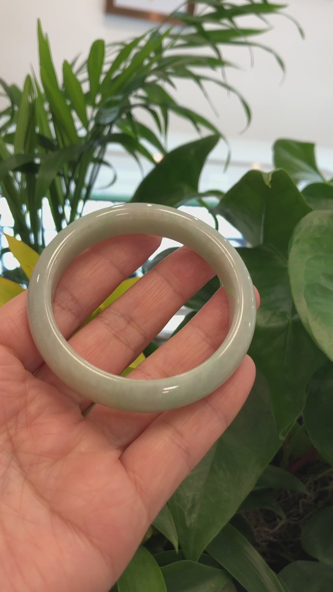 Load and play video in Gallery viewer, RealJade® Co.  &amp;quot;Classic Bangle&amp;quot; Yellow Green Natural Burmese Jadeite Jade Bangle (57.50mm)#823
