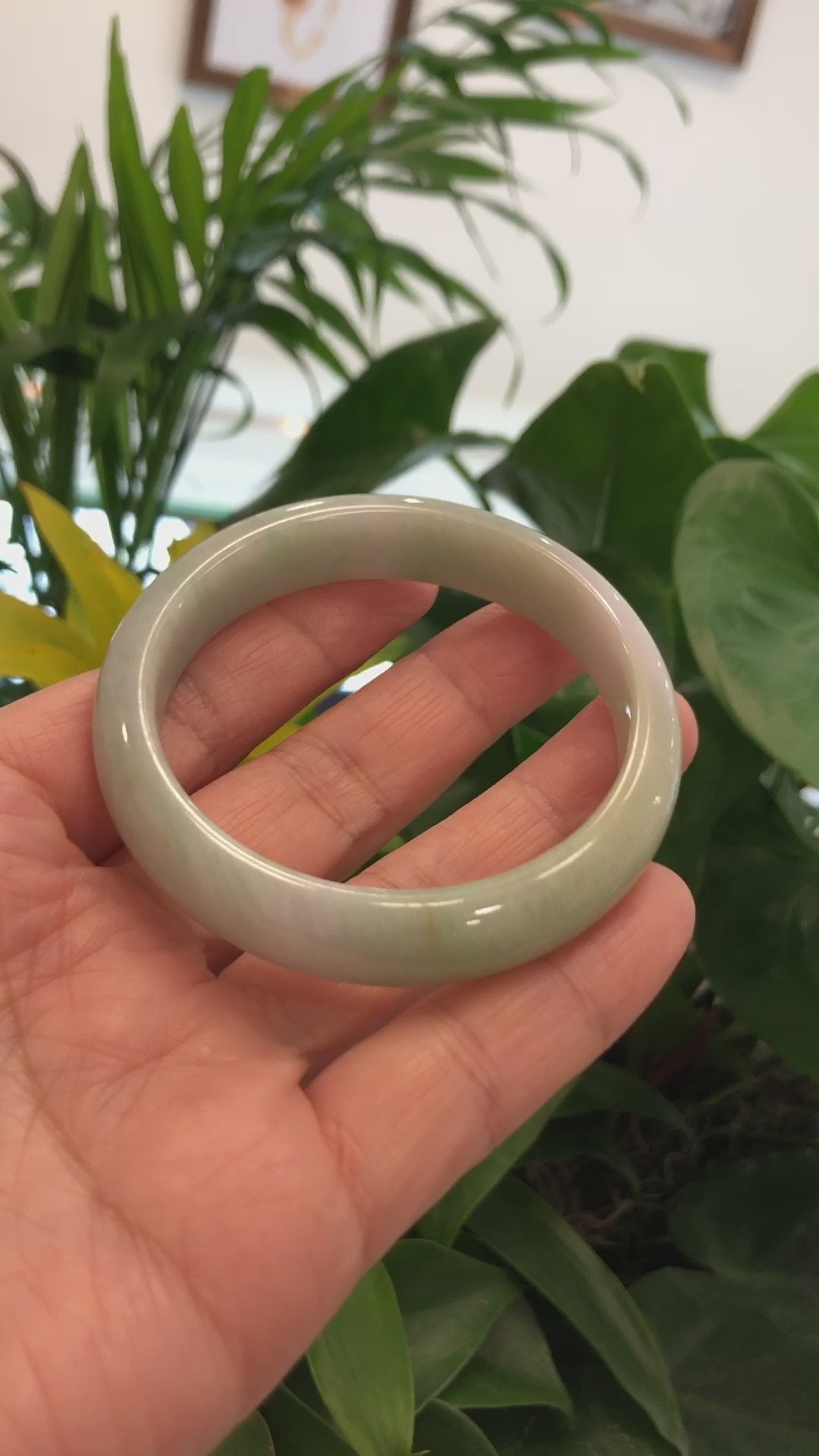 Load and play video in Gallery viewer, RealJade® Co.  &amp;quot;Classic Bangle&amp;quot; Yellow Green Natural Burmese Jadeite Jade Bangle (57.64mm)#829
